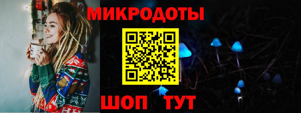 Псилоцибиновые грибы Psilocybine cubensis  Вход с VPN  Псилоцибиновые грибы Psilocybine cubensis  Гатчина 