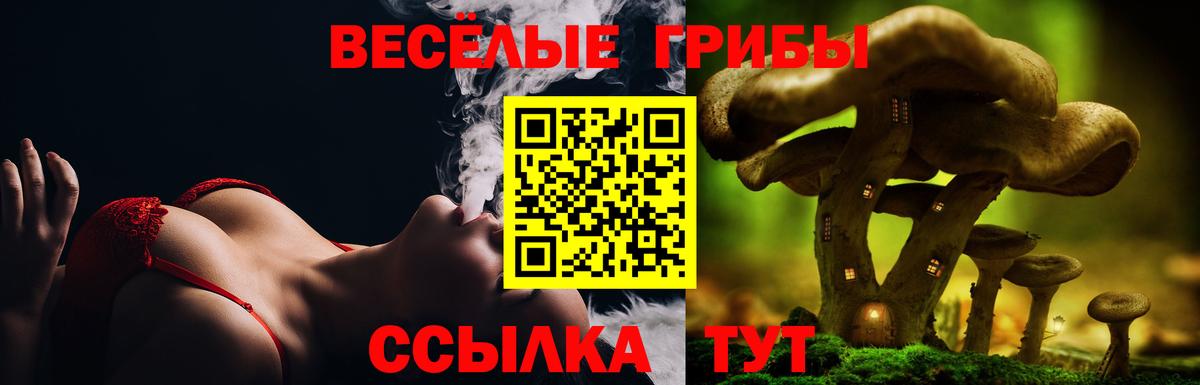 Галлюциногенные грибы прущие грибы Гатчина