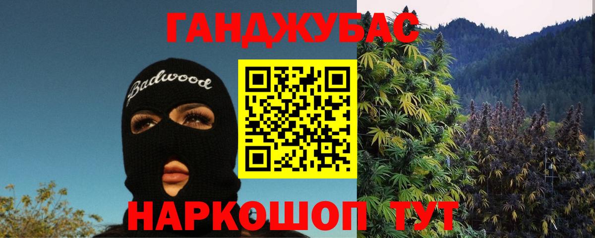Бошки марихуана конопля Гатчина